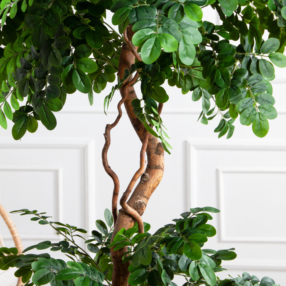 180/2К/ВИТ/702(Пр)(F) Софора японская искуственная h180см,(латекс)_3