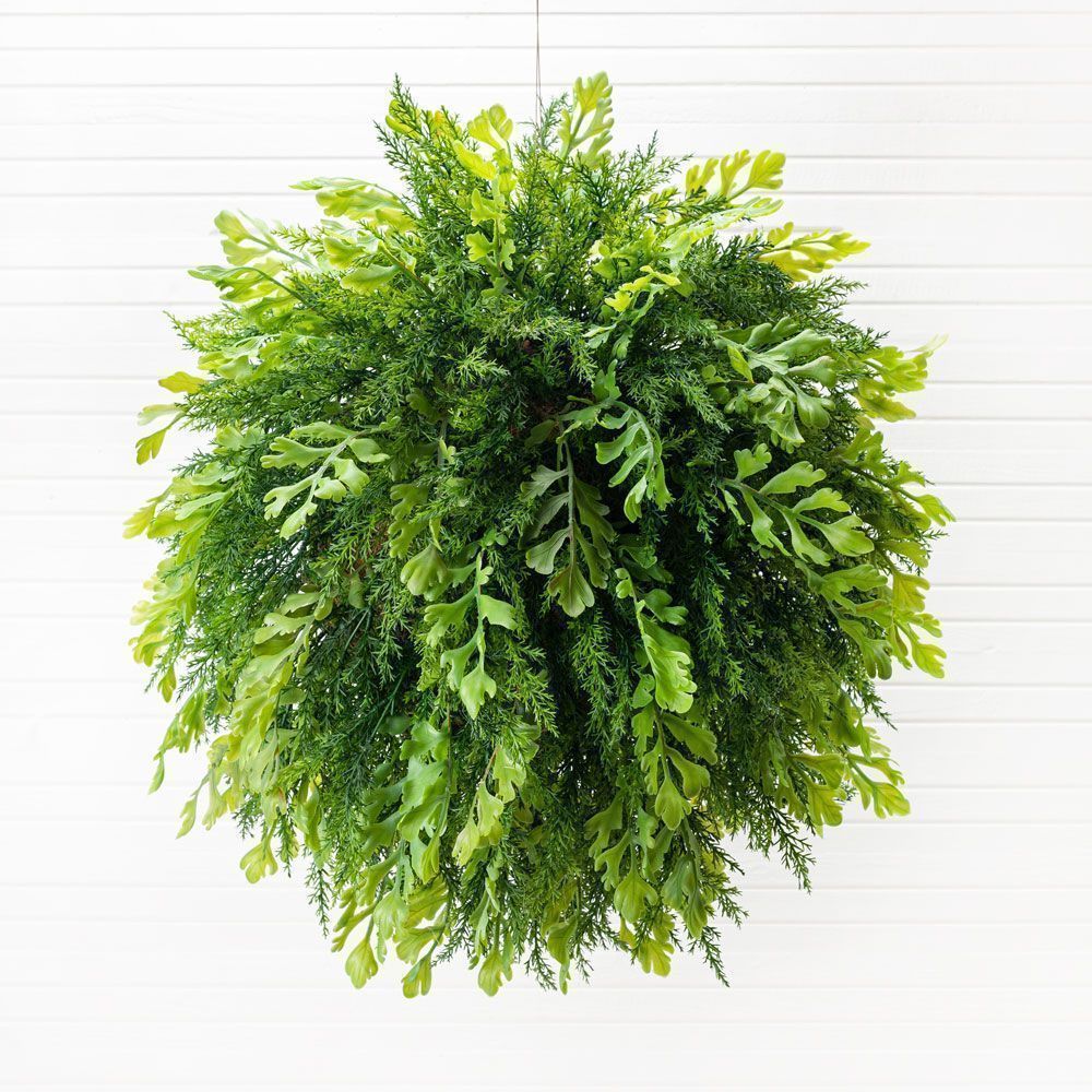 ККД85/301-1(з.) Кокедама d-30см 