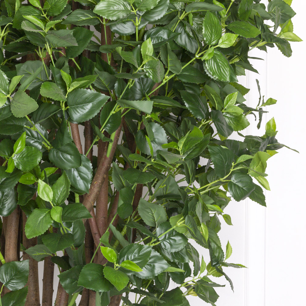 240/К/458(з) Колеус искусственный куст h240см, зеленый_3