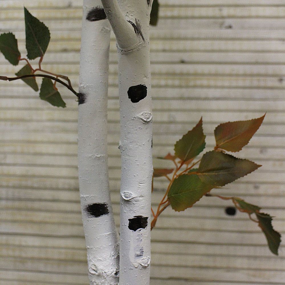 200/Р/12М-1(з.) Береза 200см_3