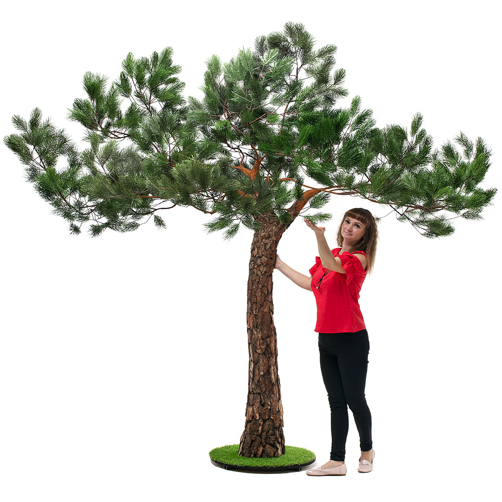 275разб/нат/224(з.) Сосна с натур.корой h-275см_4