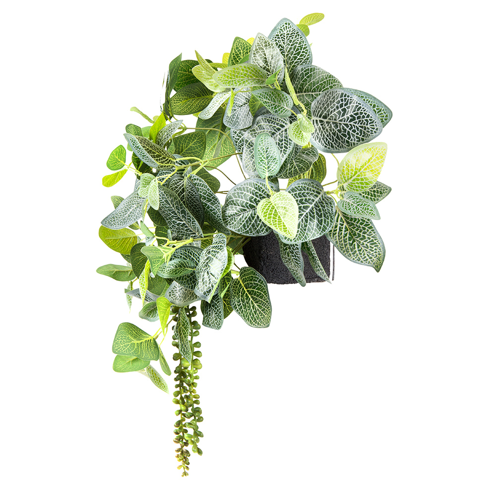 БК 09 Композиция с фиттонией на блоке 15*h10_2