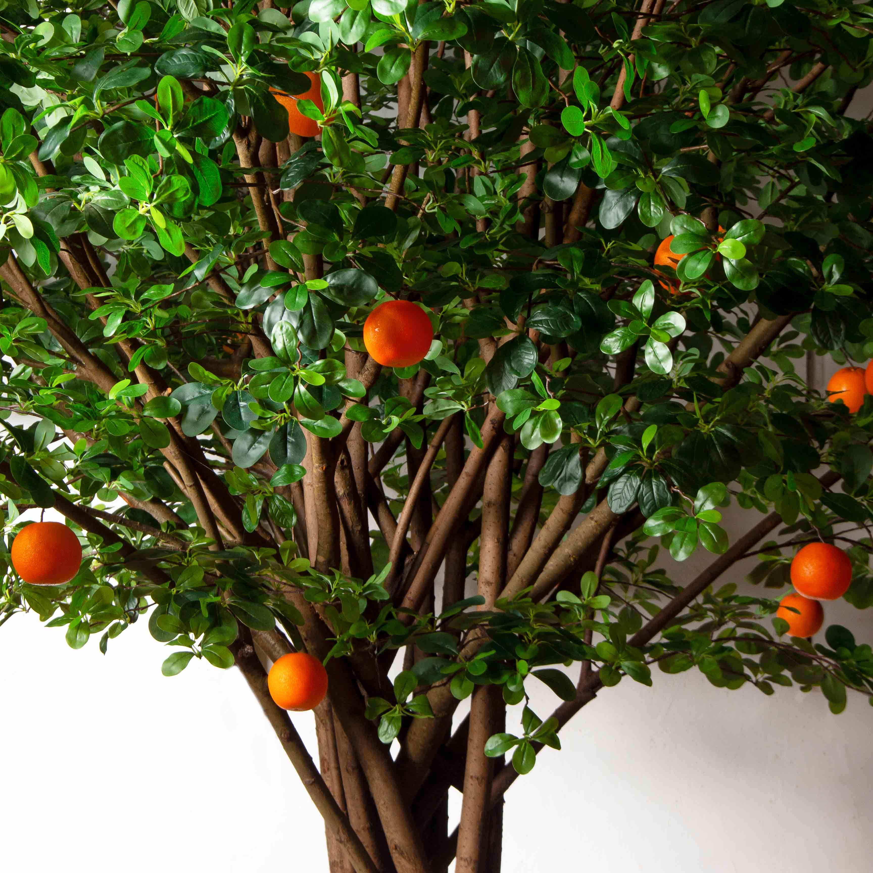 300/РН/84-1(з)(F) Шефлера искусственная h300см d330 на основании d75см, латекс_6