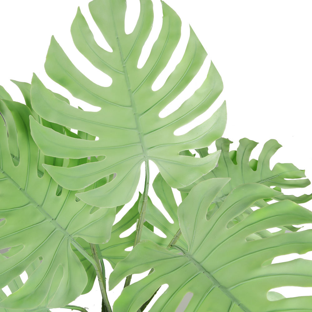 80/К/ССТ/371-1(з.) Монстера мятная на стволе h80см (латекс) _2