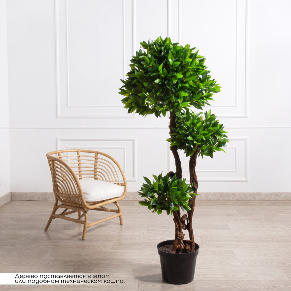 160/3К/ОС/188(УУ)(Пр)(F) Лавр искусственный h160см_1