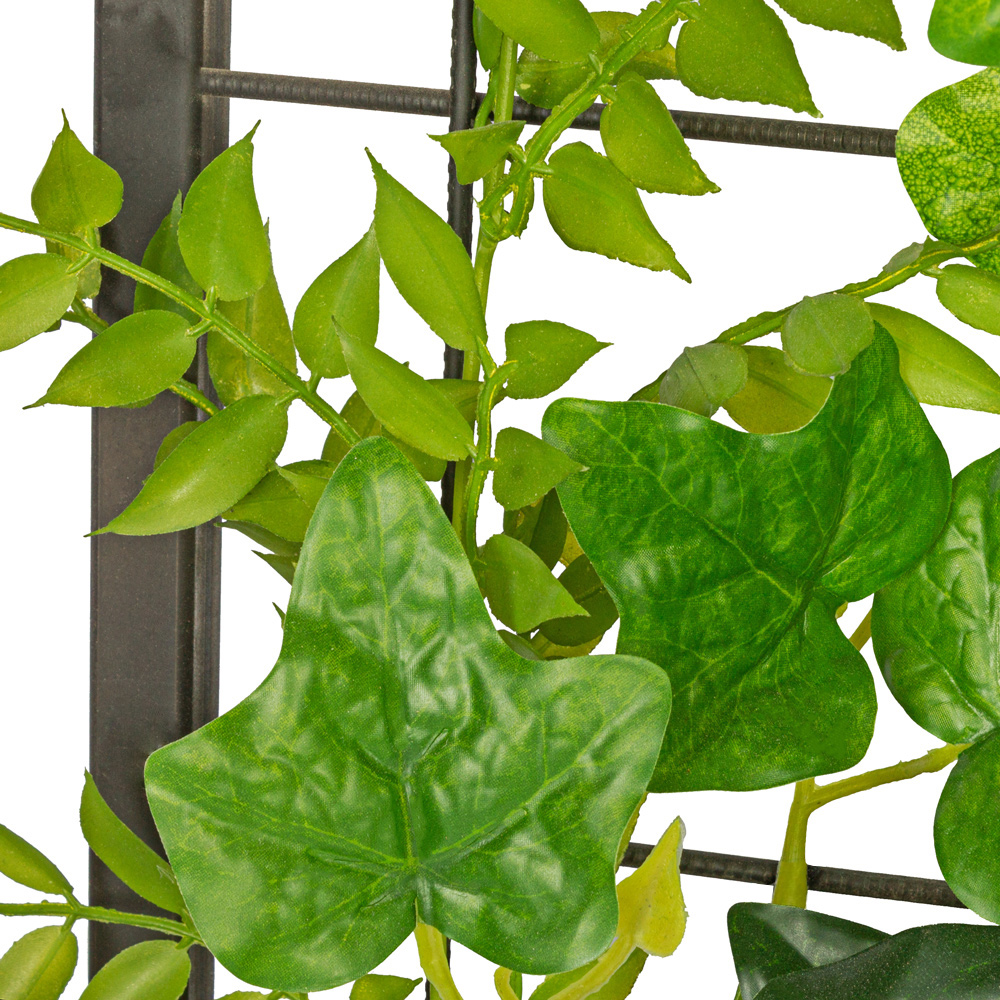 Фитостена 143_2