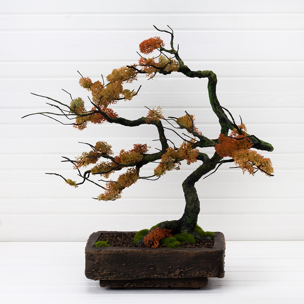 БМ 40/31(з.) Бонсай со мхом h-40см;L-50см