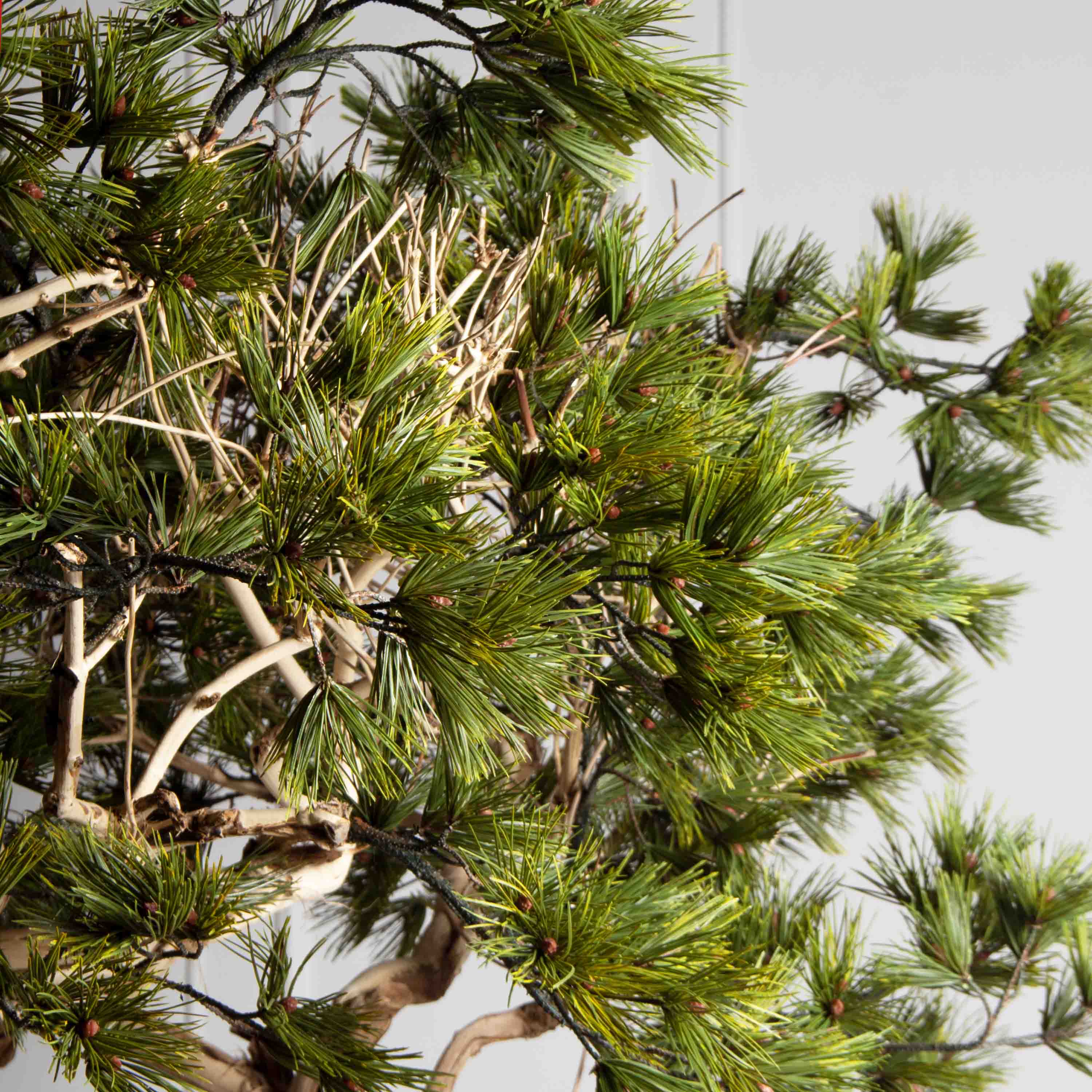 230ГБст/Разб/АСС/ДЗх3/540(F) Сосна искусственная разборная h230см, на витом стволе_5