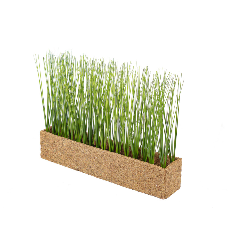 Т009 Трава (зеленая) h28см в кокосовом боксе 50*10*10