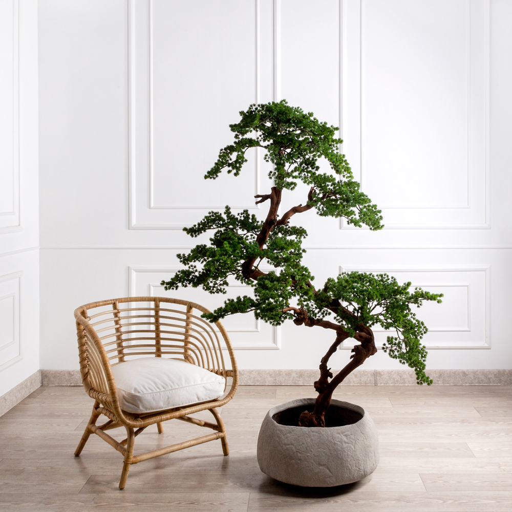 БС165/ОС/427(Пр) Бонсай искусственный Сосна h165см