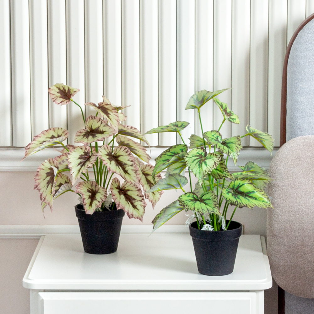 ЦС211-1(F) Бегония искусственная салатовая_3