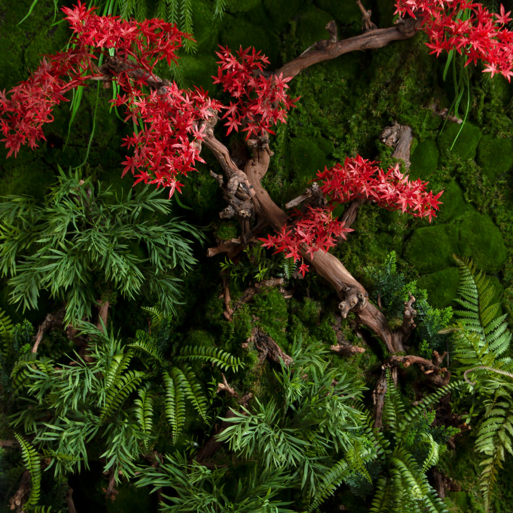 ФТМ213(Пр)(F) Фитомодуль с японским кленом_6