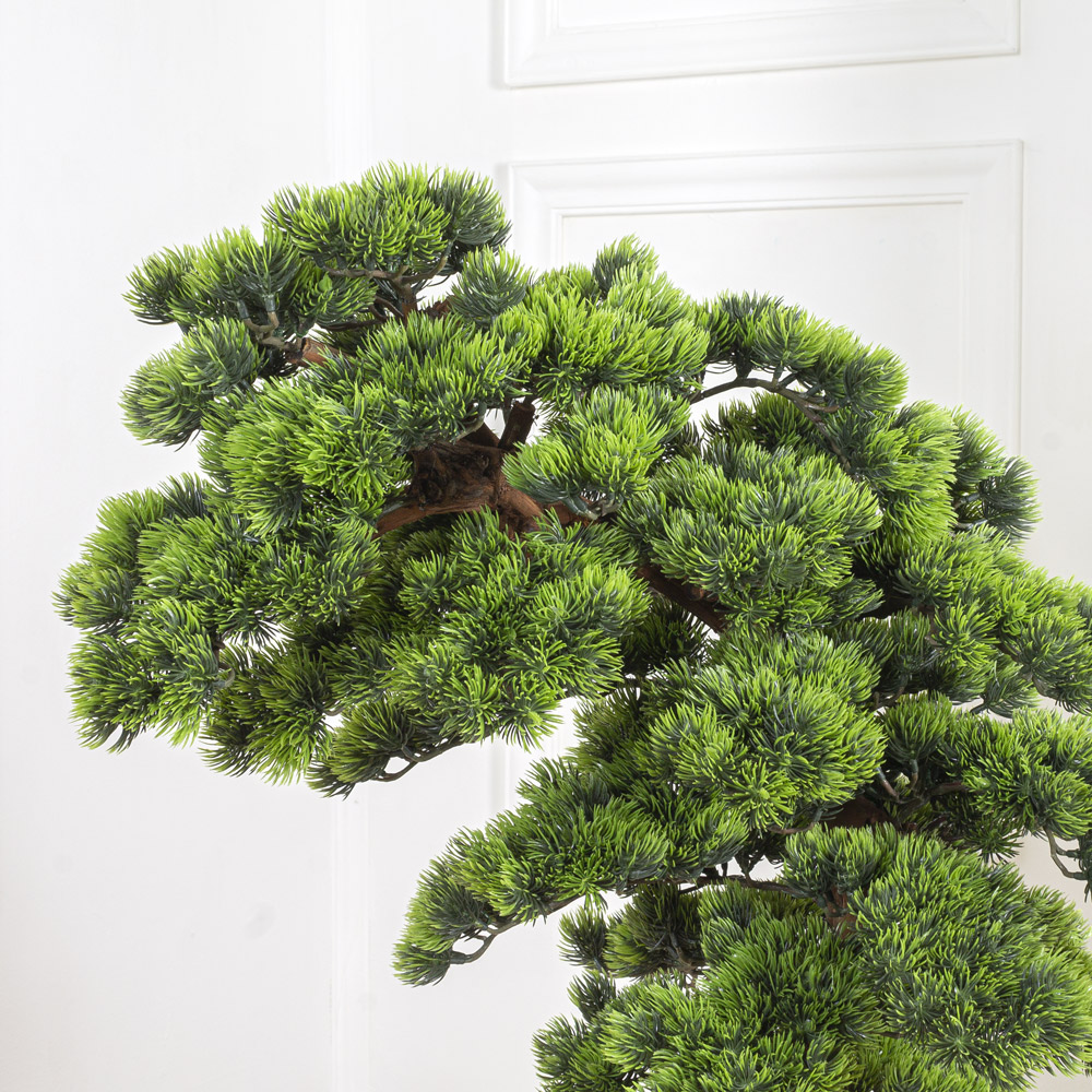 БС100/ОС/30-1(з.) Бонсай Сосна h100см на основании _8