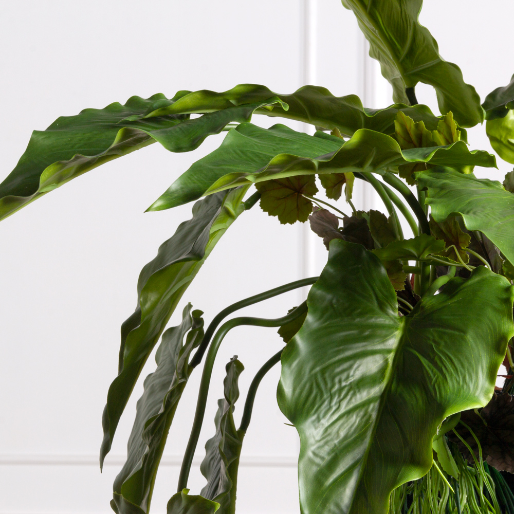 БК 05(F) Композиция с каладиумом на блоке 15*h10см_8