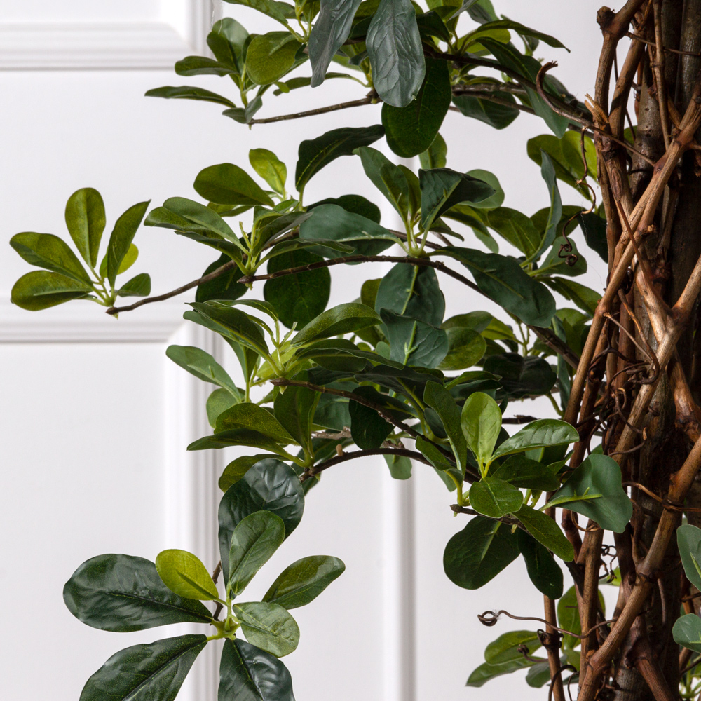 250/ССТ/ПЛ/ВП/84(з) Шеффлера искусственная h250см (латекс)_9999