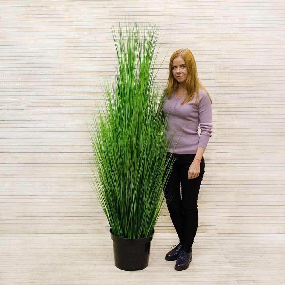 С013(з.) Сноп из осоки h-150см_2