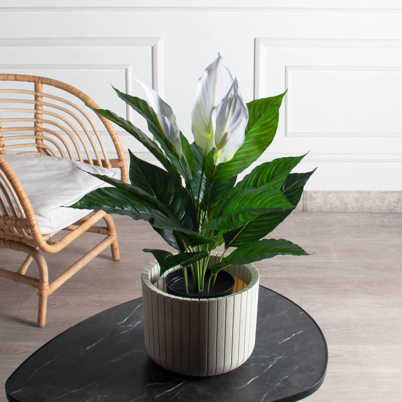 К60/217(F) Спатифиллум искусственный цветущий h60см_1