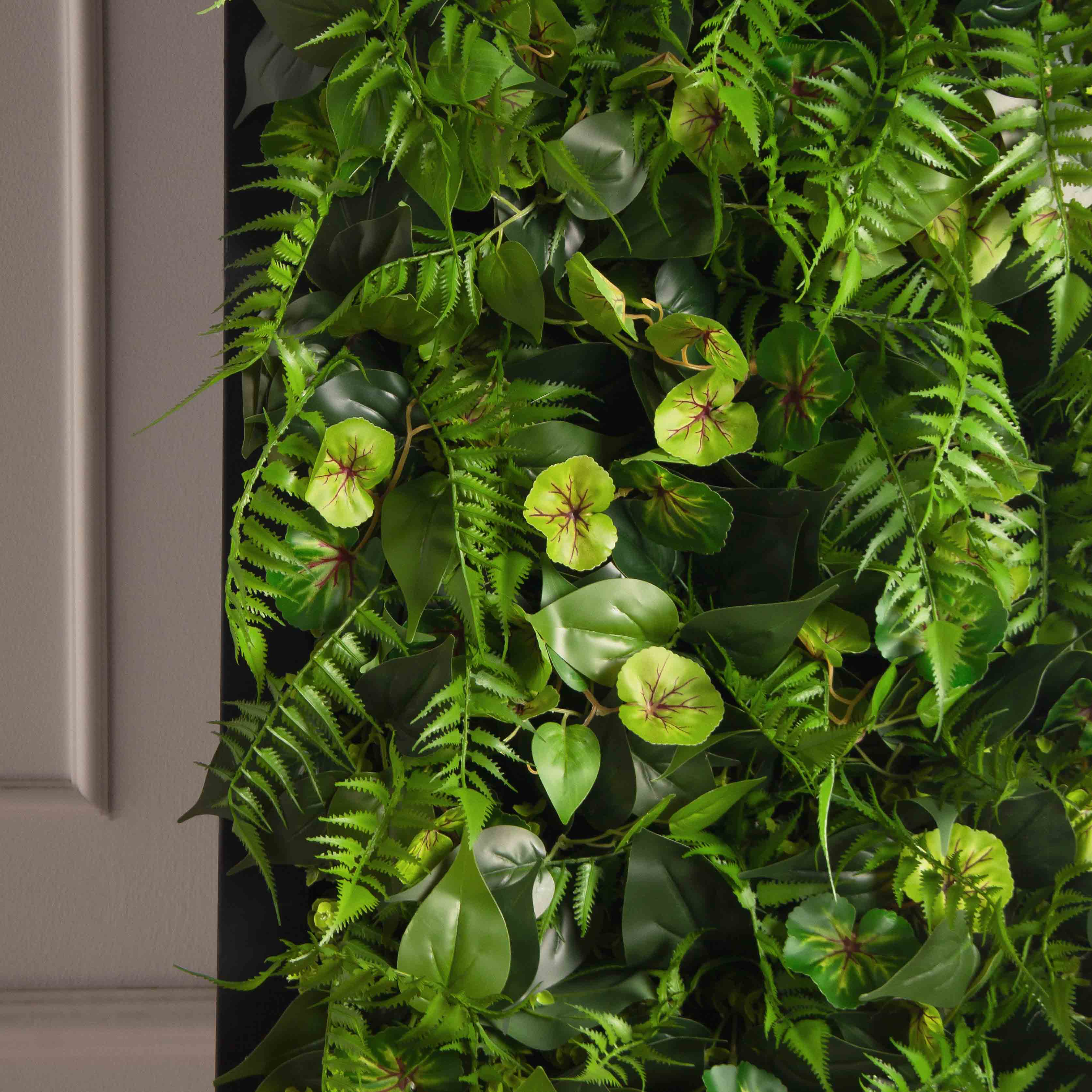 ФК96(Пр)(F) Фитокартина в черной раме 50х250см_4