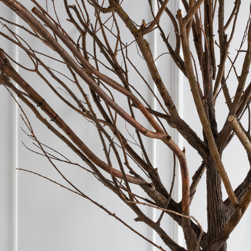 300Гбст/разб/РН(F) Дерево интерьерное с натуральными ветвями h300см d220см_10