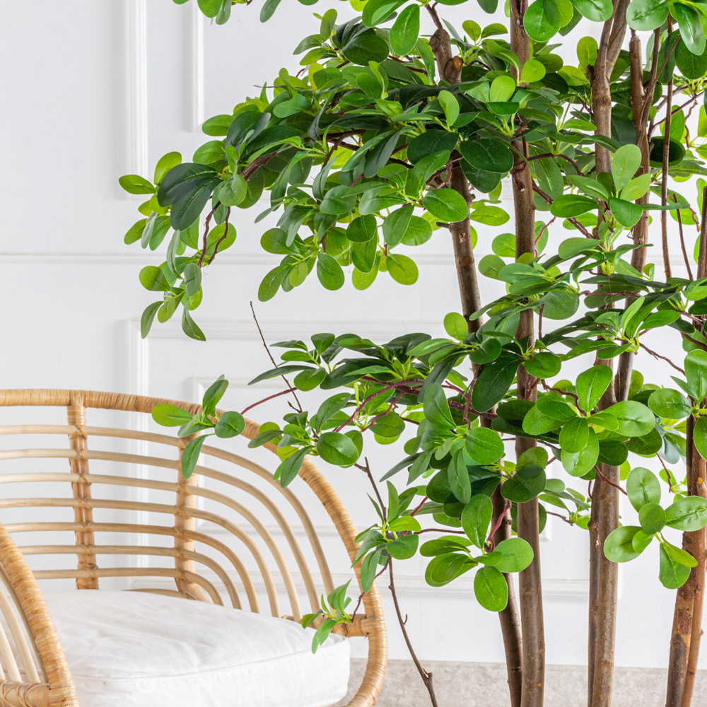 160/РН/84-1(з)(F) Шеффлера искусственная h160см d100см, латекс_4