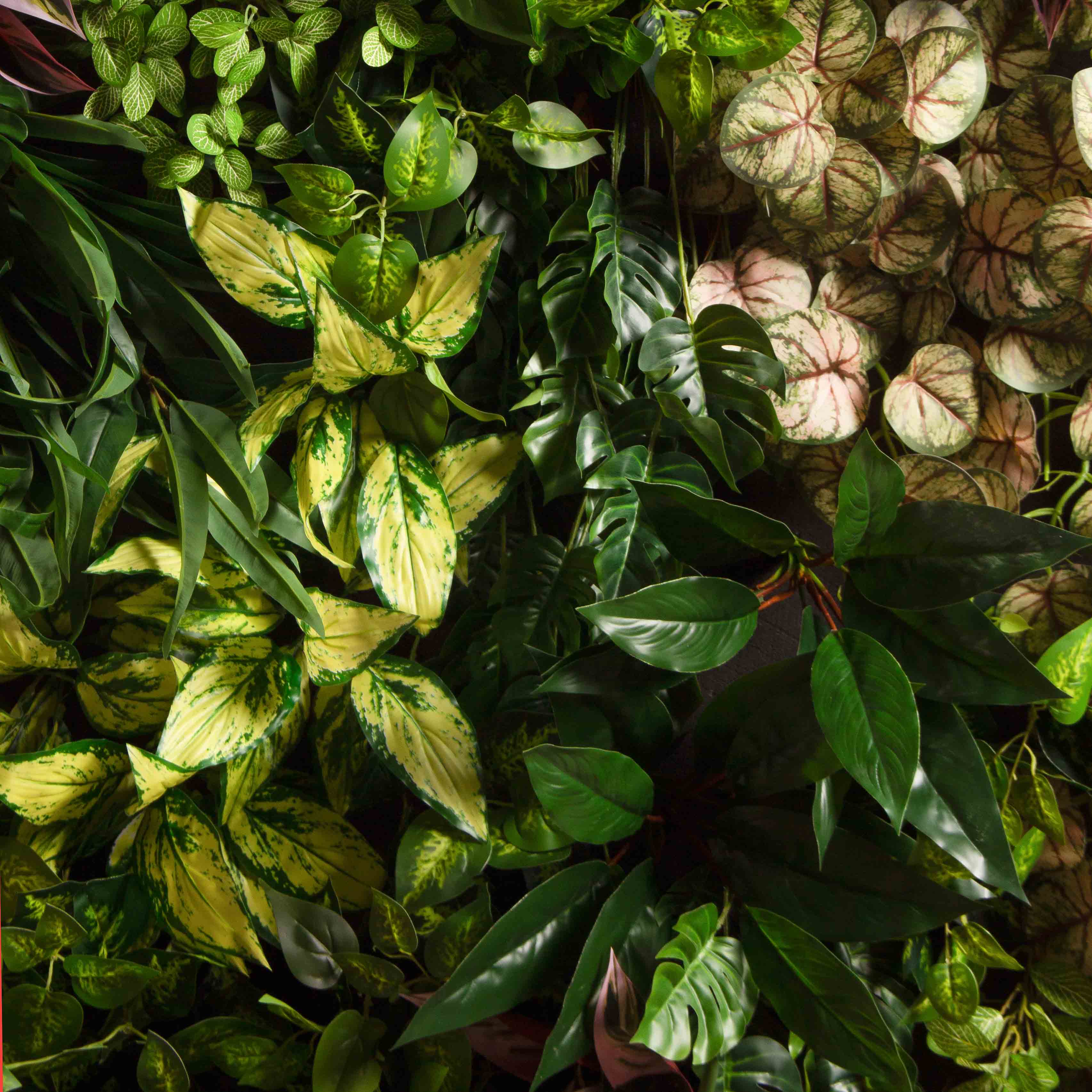 ФТС180(Пр)(F) Фитостена,  за 1кв.м_6