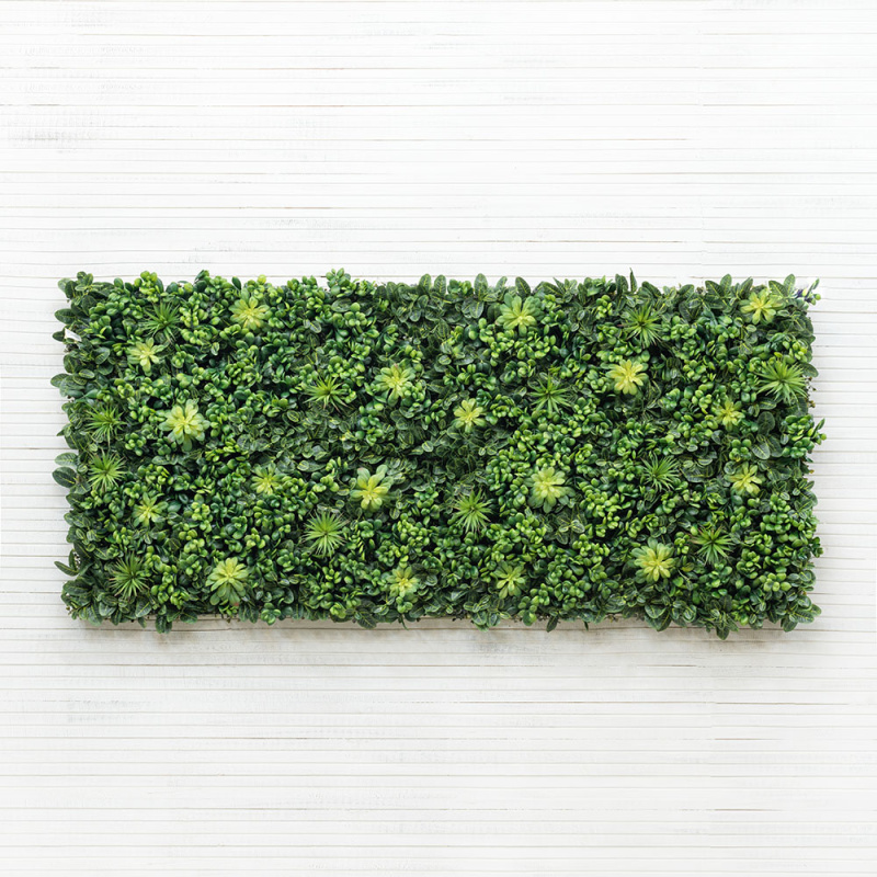 Фитостена 83/2(з.) с зел.суккулент. и чернич.