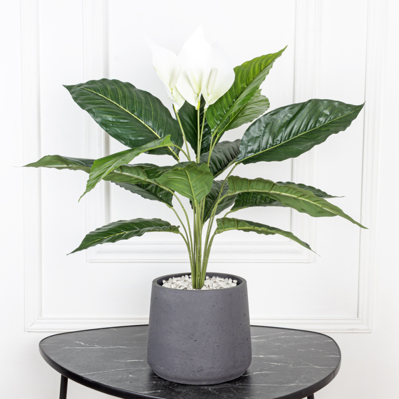 К60/217-1 Спатифиллум h60см (латекс/ревелюр)_3