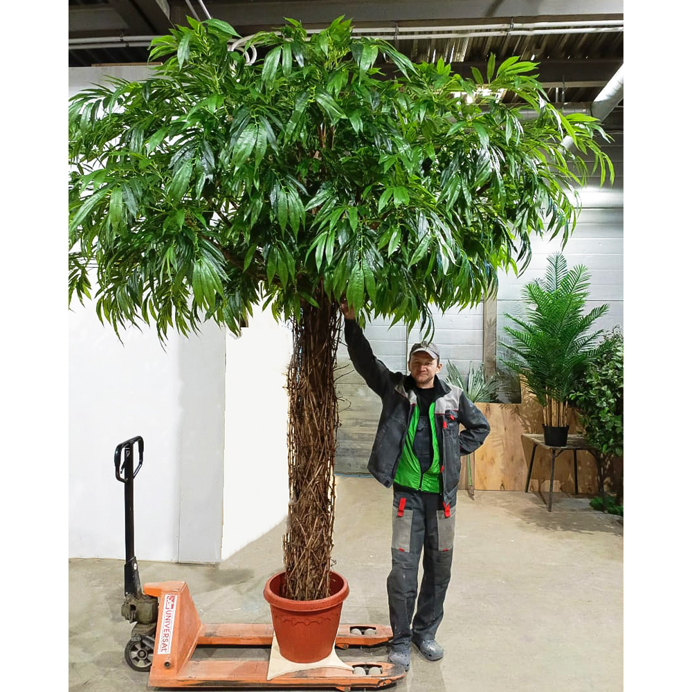 300/ССТК/ВП/2199(з)(F) Лонгифолия искусственная h300см d300см, латекс_2