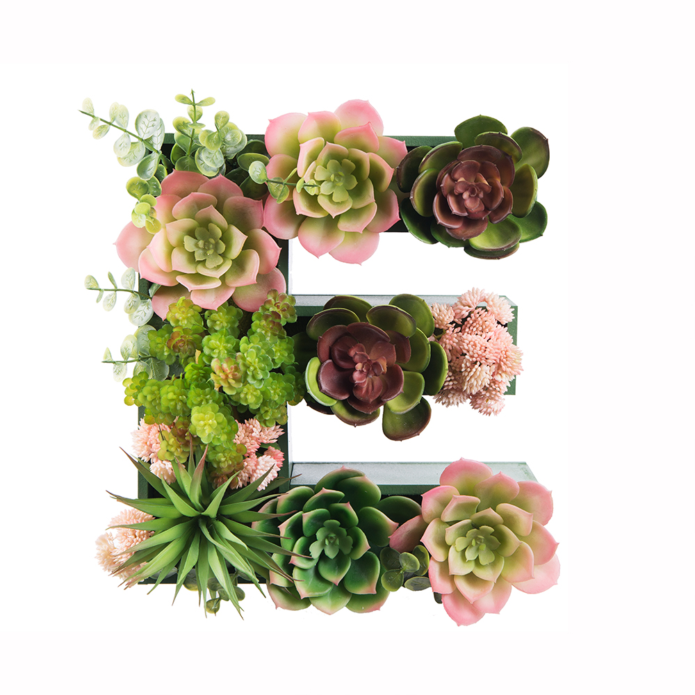 Логотип EUROMED KIDS с суккулентами (300*h27см)_4