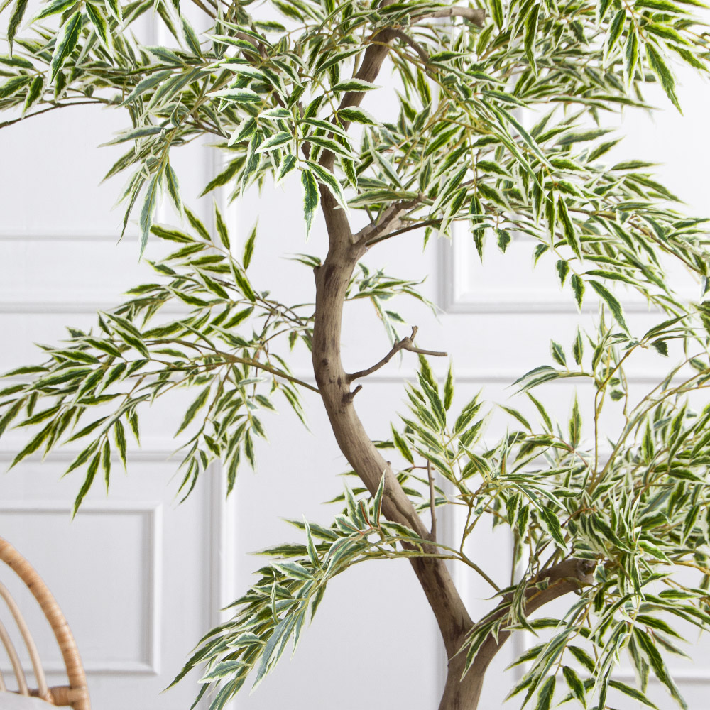 170/РН/АСС/701(Пр)(F) Магония искусственная h170см,зелено-белая,(латекс)_6