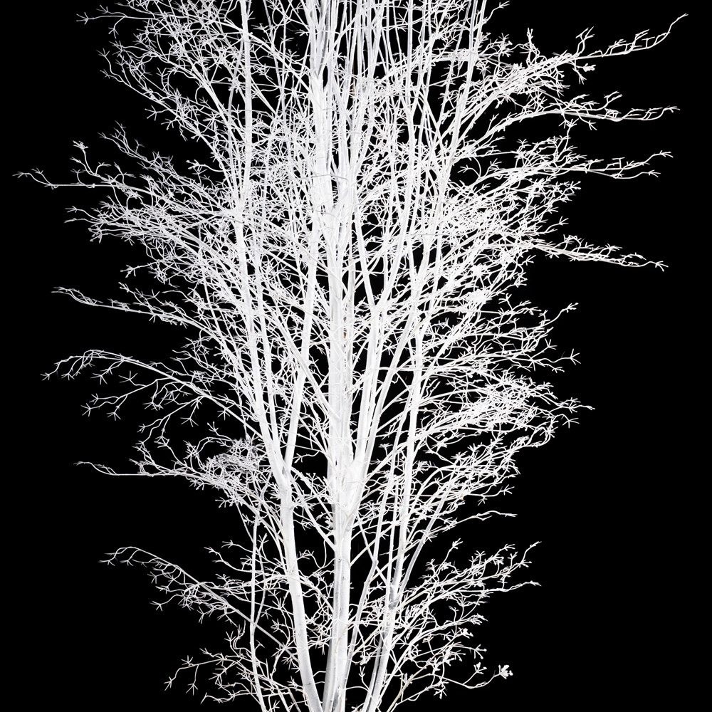 240/РН/1766-2(з)(Пр)(F) Дерево искусственное заснеженное h240см_2