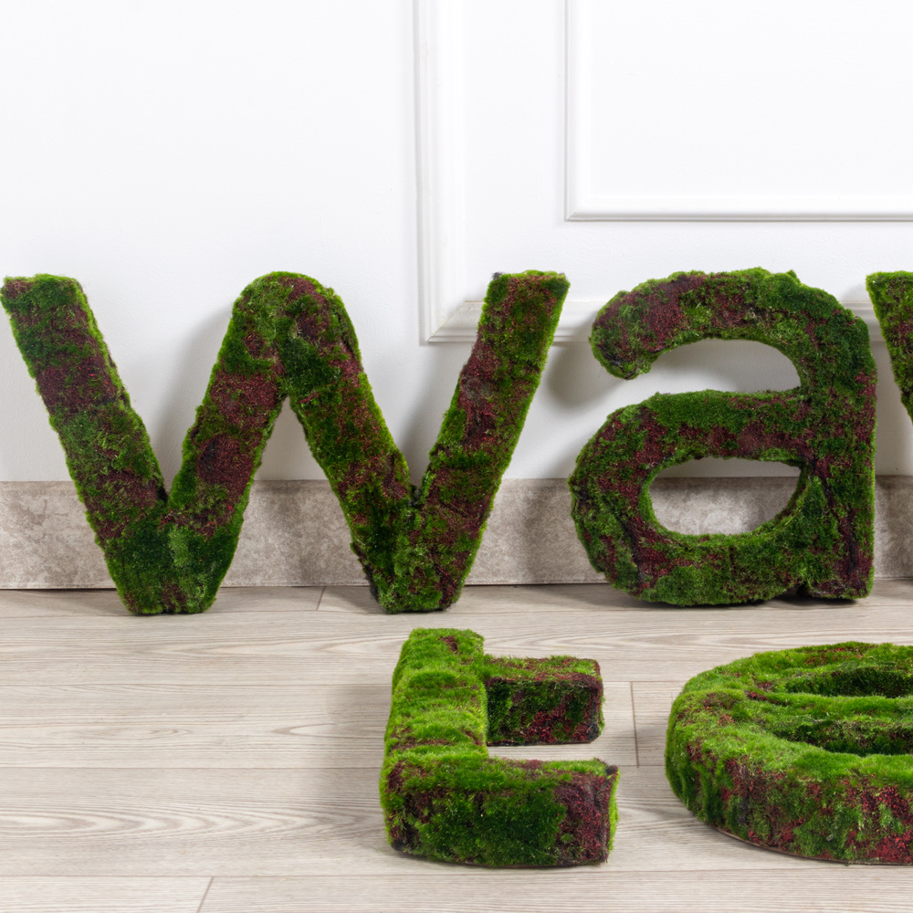 Логотип (з)(F) WAWAtech 300хh30см _3