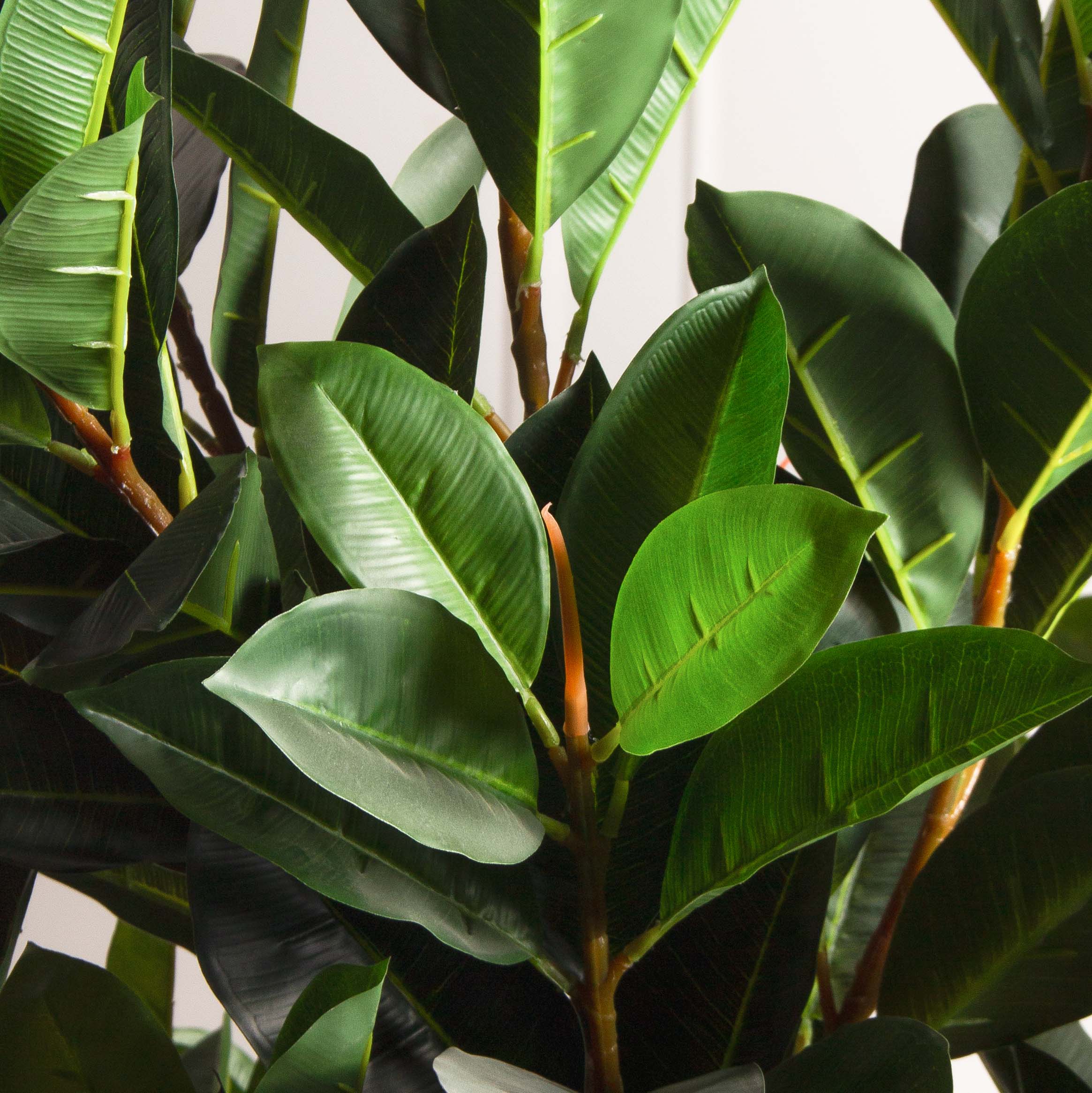 240/К/418(з)(Пр)(F) Фикус искусственный Эластика  h240см, латекс_5