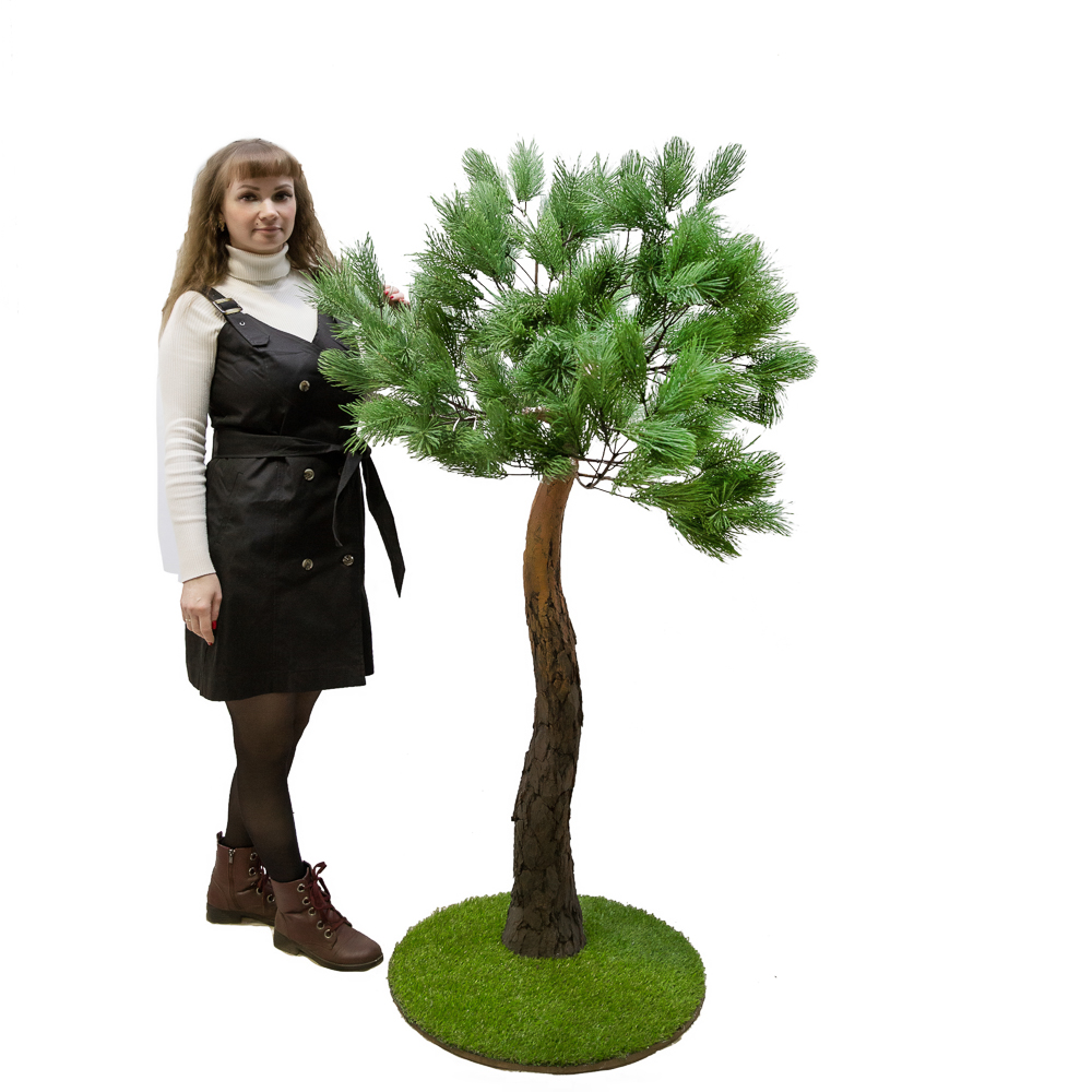 160Разб/Нат/224(з.) Сосна с натуральной корой h160см_5