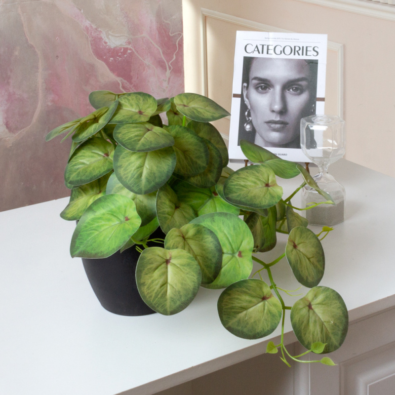 ЦС209-1(F) Пеперомия искусственная ампельная, салатовая