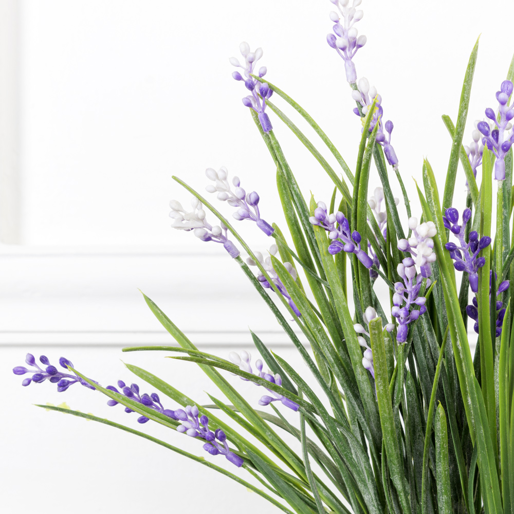 КС57(МД) Мускари в кашпо h-34см в асс-те_1