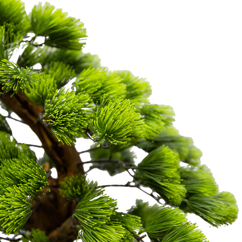 160/ОС/230 Бонсай сосна h-160см_2