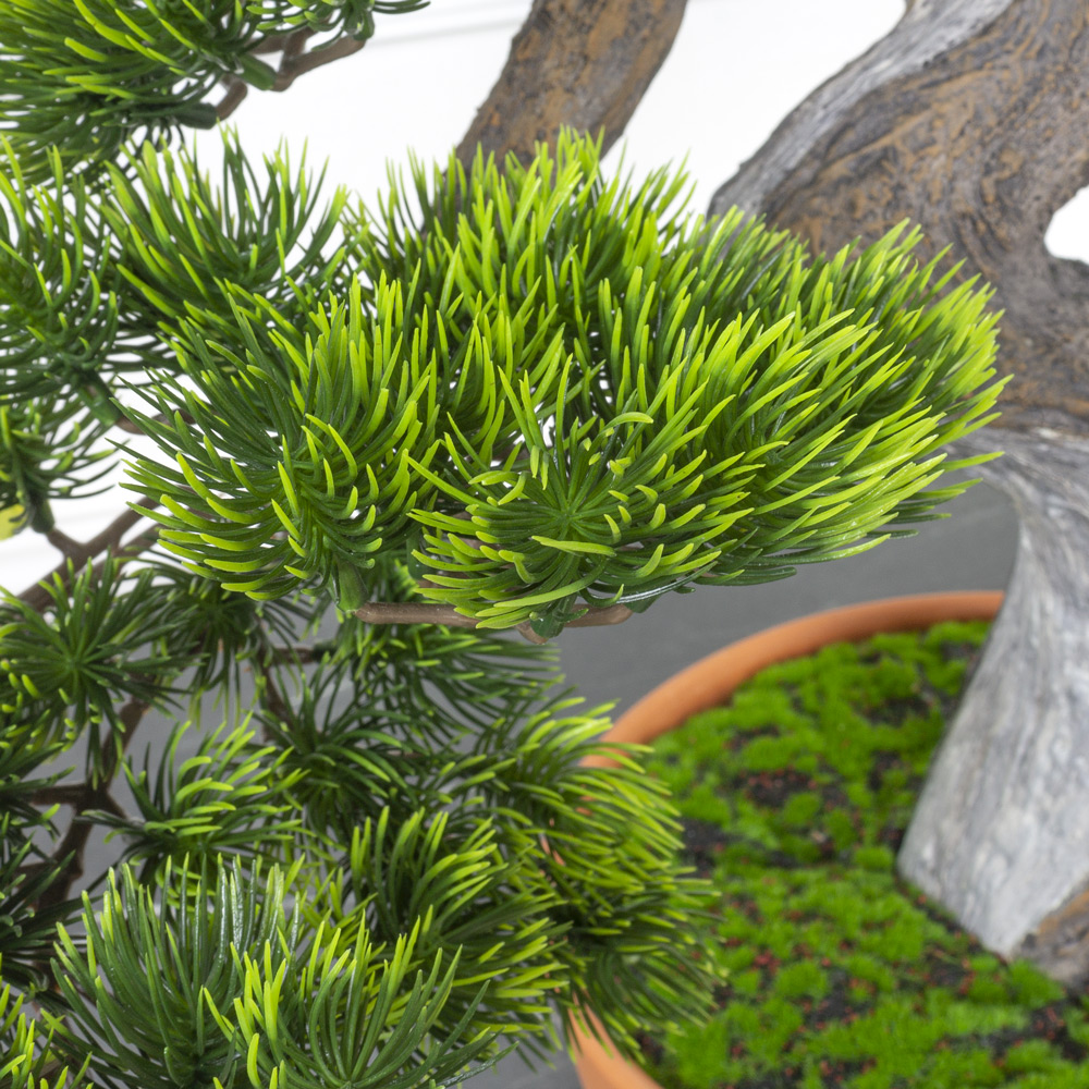 БС50/429(Promo) Бонсай Сосна искусственный h50см_2
