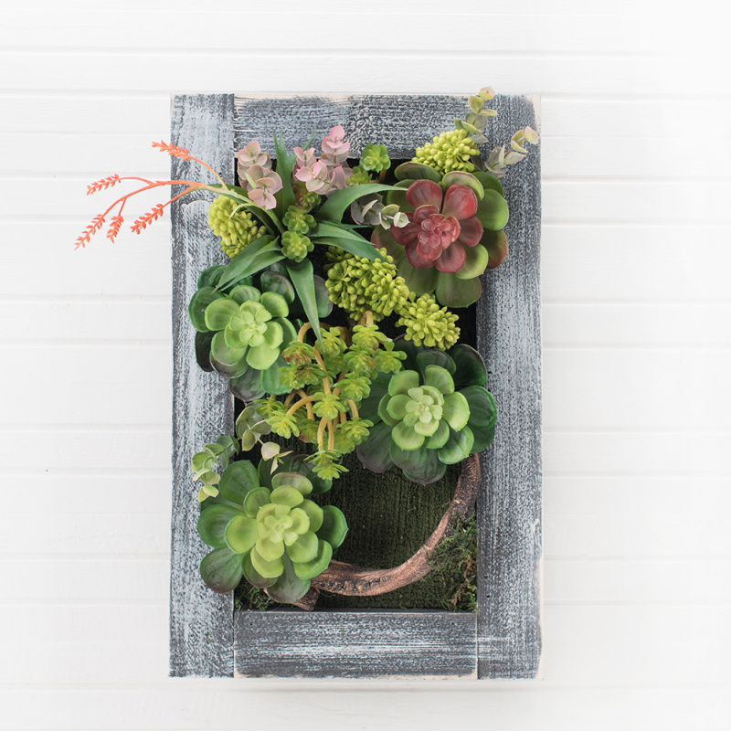 СКФ02-1 Фитокартина с суккул. в дер.раме(зел)25*39