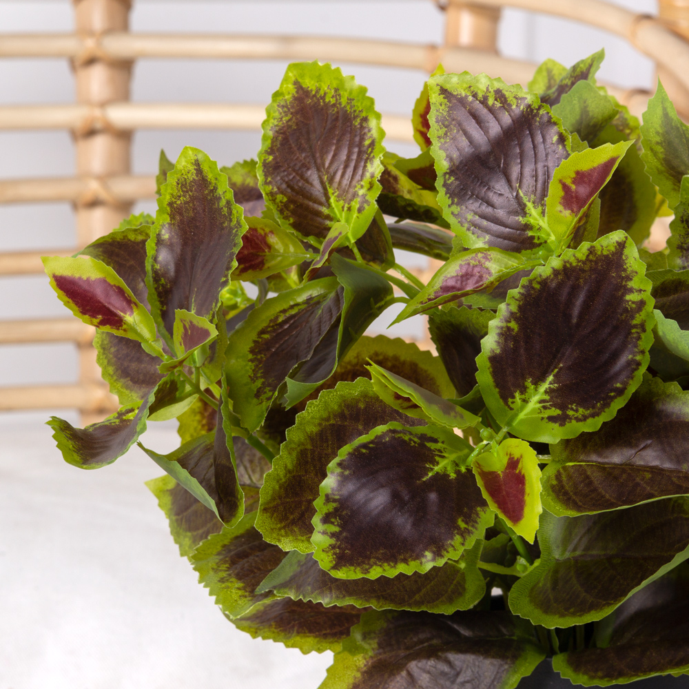 ЦС25/205(Пр) Колеус искусственный (латекс) в кашпо_1