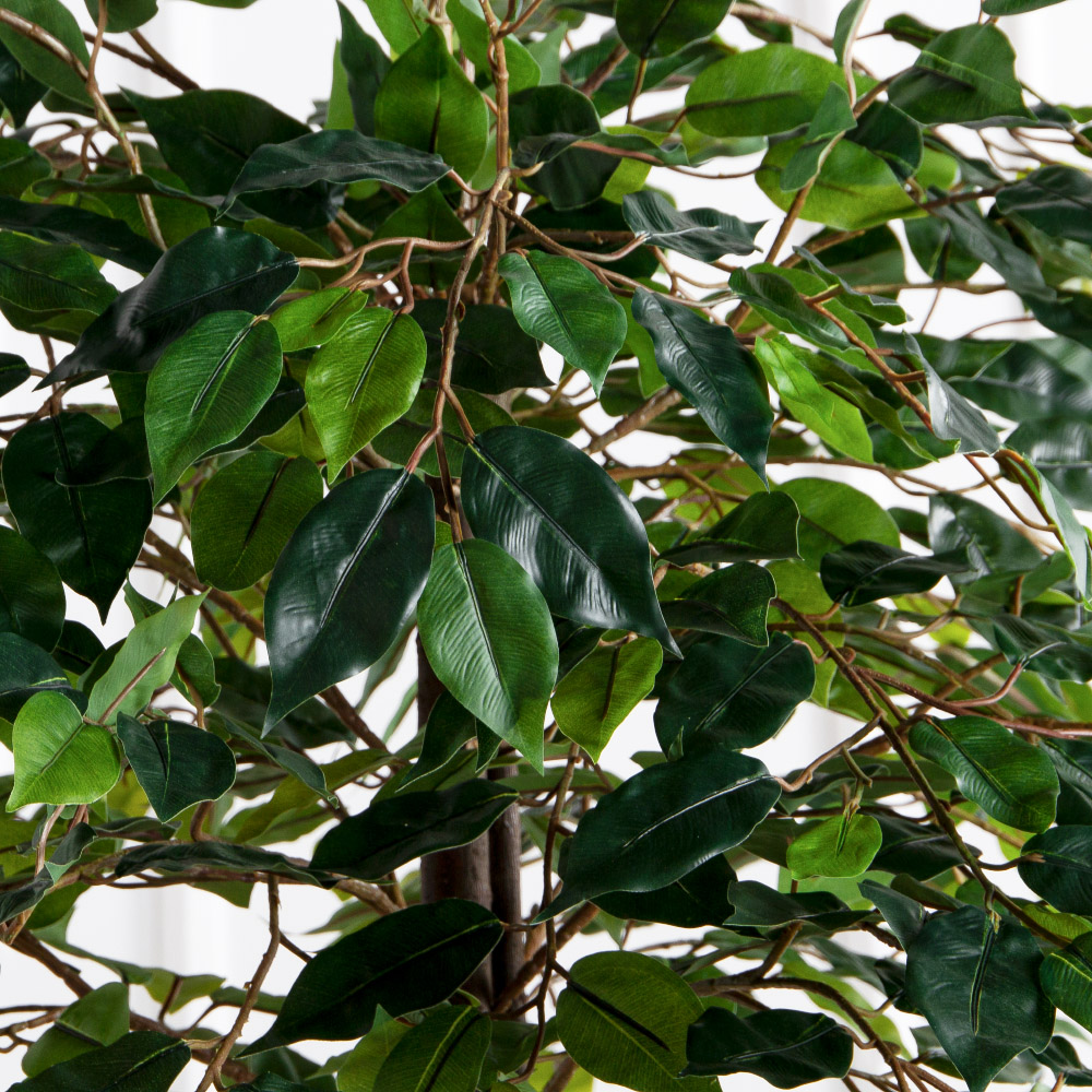 180/РН/ЭК/34(Пр)(F) Фикус искусственный h180см,(латекс)_6