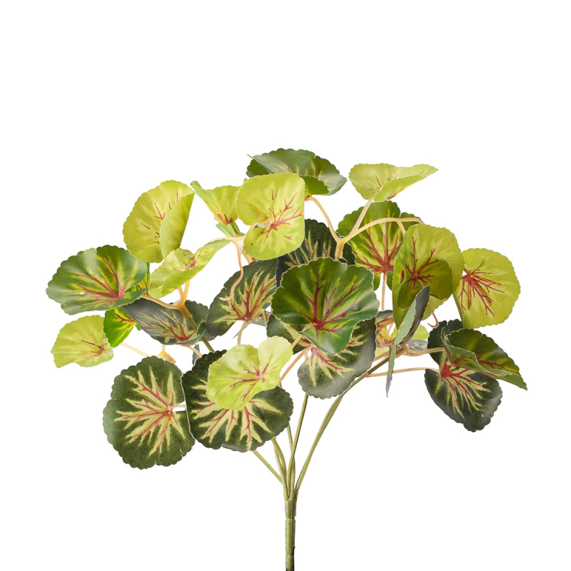 7143/0411-8 куст Пеларгония*7 (латекс) h=26см (20+6)