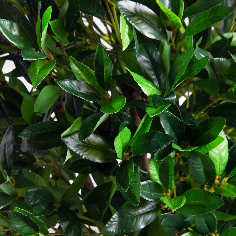 145/РН/188(з)(F) Лавр искусственный h145см d59х69см, латекс_6