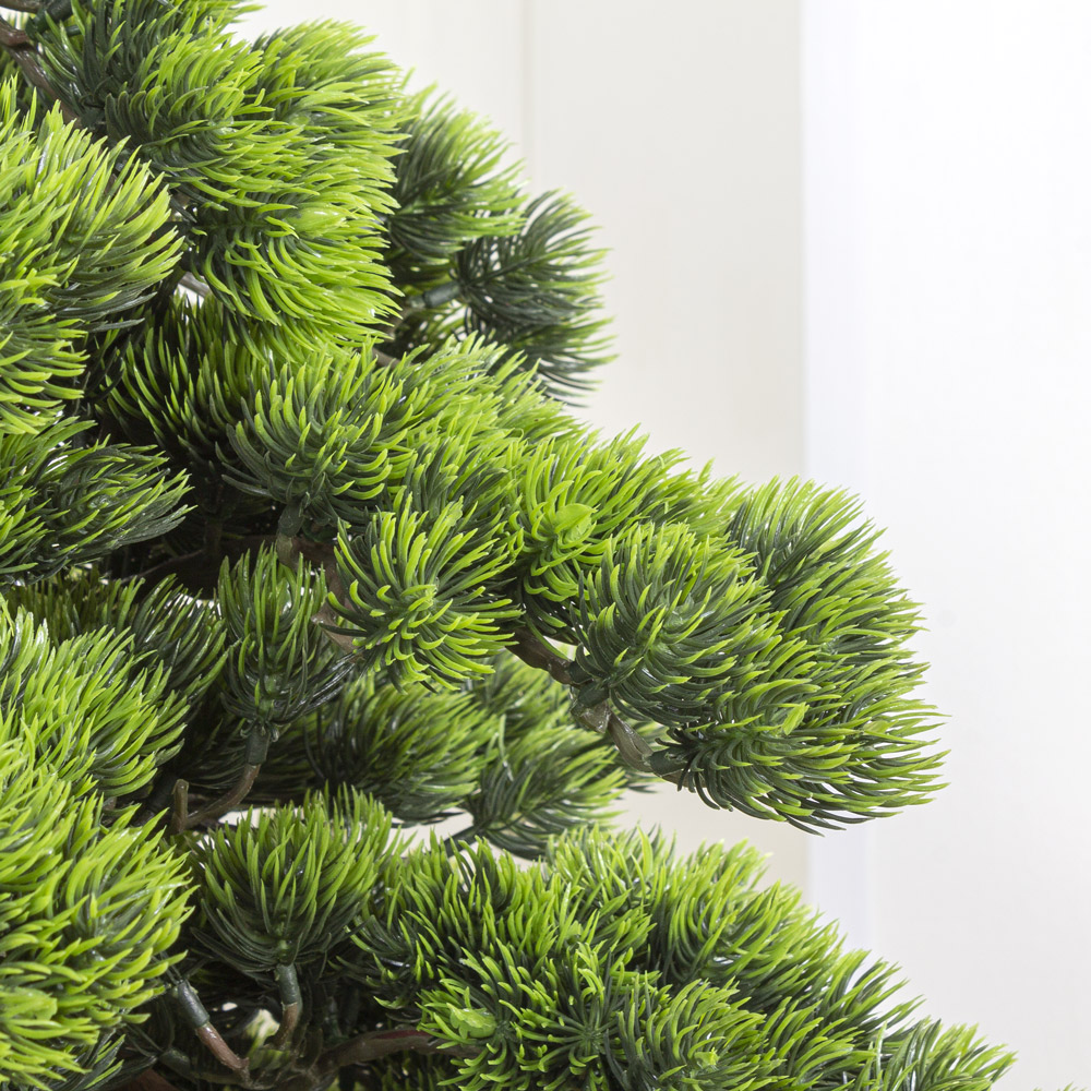 БС100/ОС/30-1(з.) Бонсай Сосна h100см на основании _7