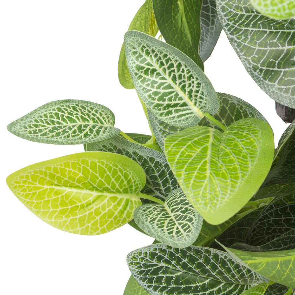 БК 41 Композиция с фиттонией на блоке 15*h10_3