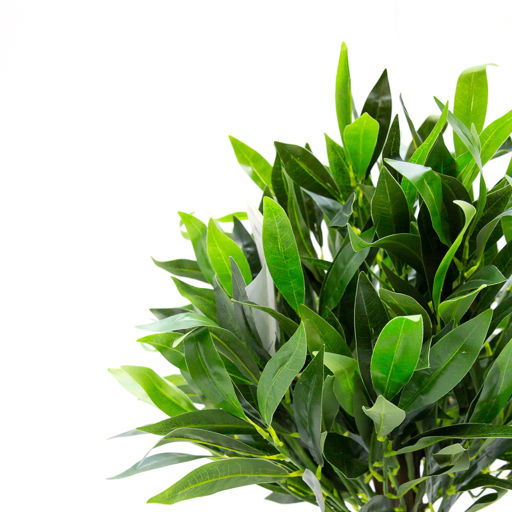 120/ОС/3К/27М Лавр(латекс) 120см_2