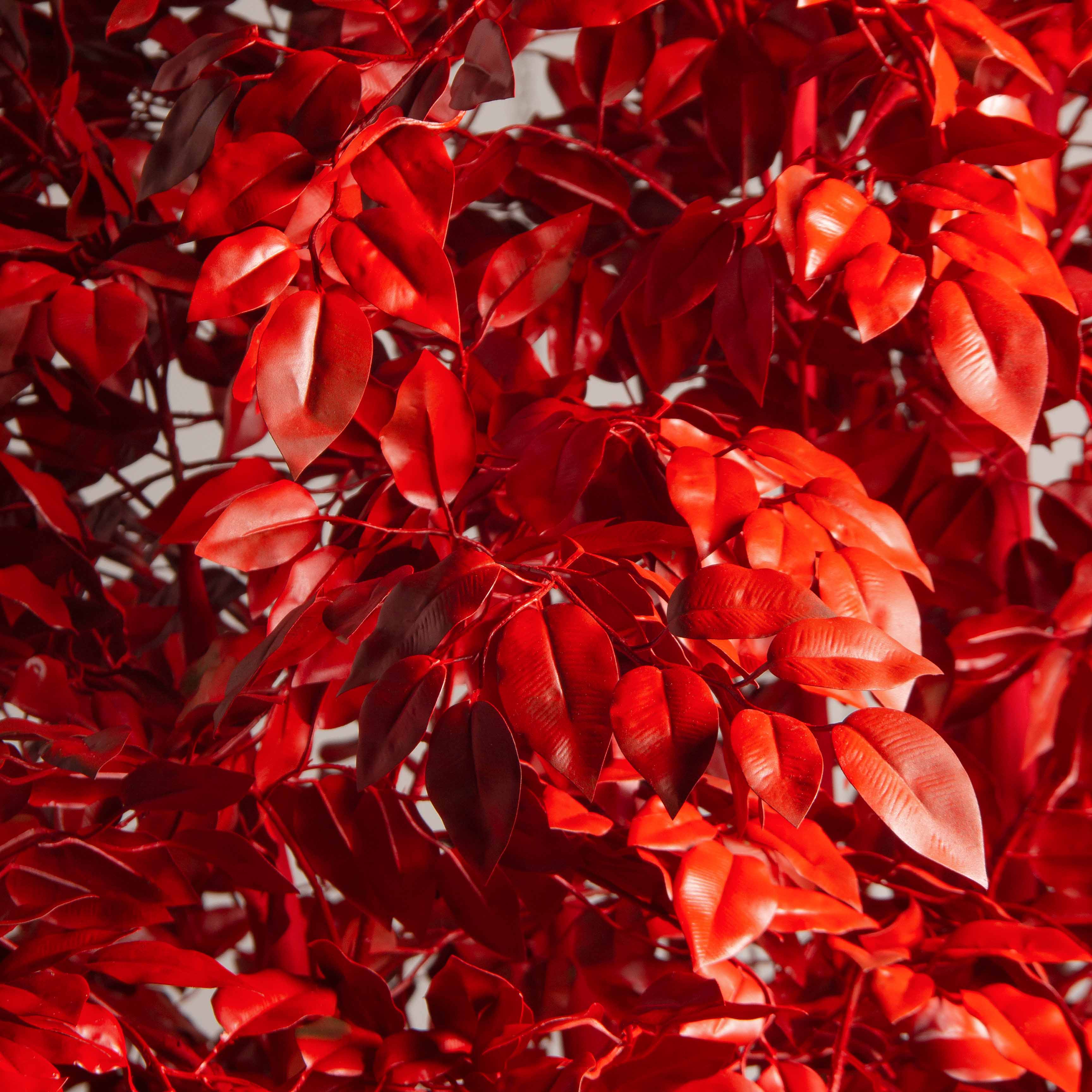 220/РН/17М-1(з)(F) Фикус искусственный с покрасом RAL3020, h220см d120см, латекс_2