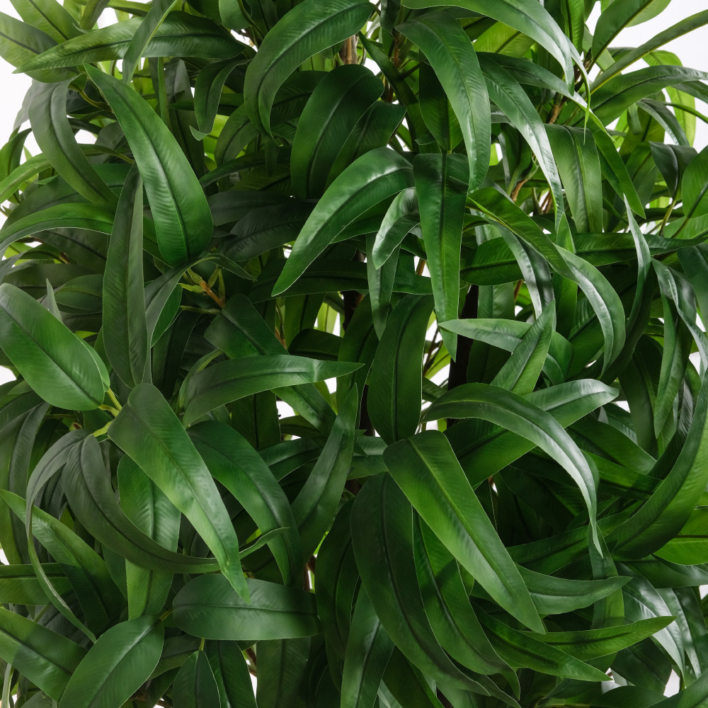 160/РН/441(Пр)(F) Манго искусственное h160см (латекс)_4