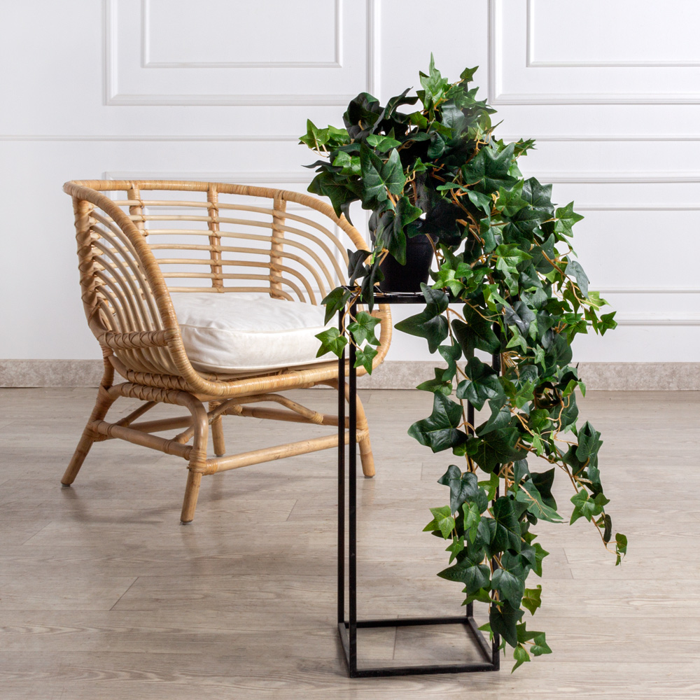 КС78(F) Плющ Хедера в кашпо_1