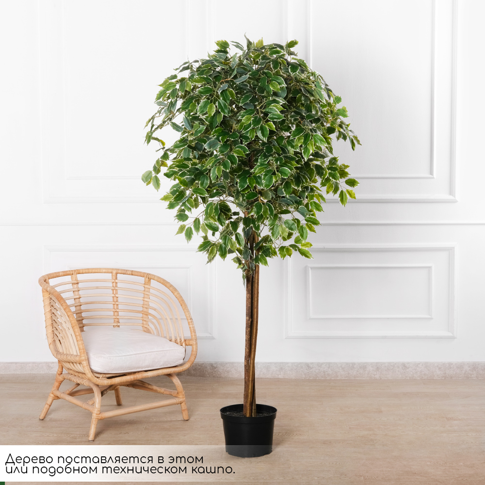 180/УК/23М(Пр)(F) Фикус Бенджамина Старлайт искусственный h180см_2